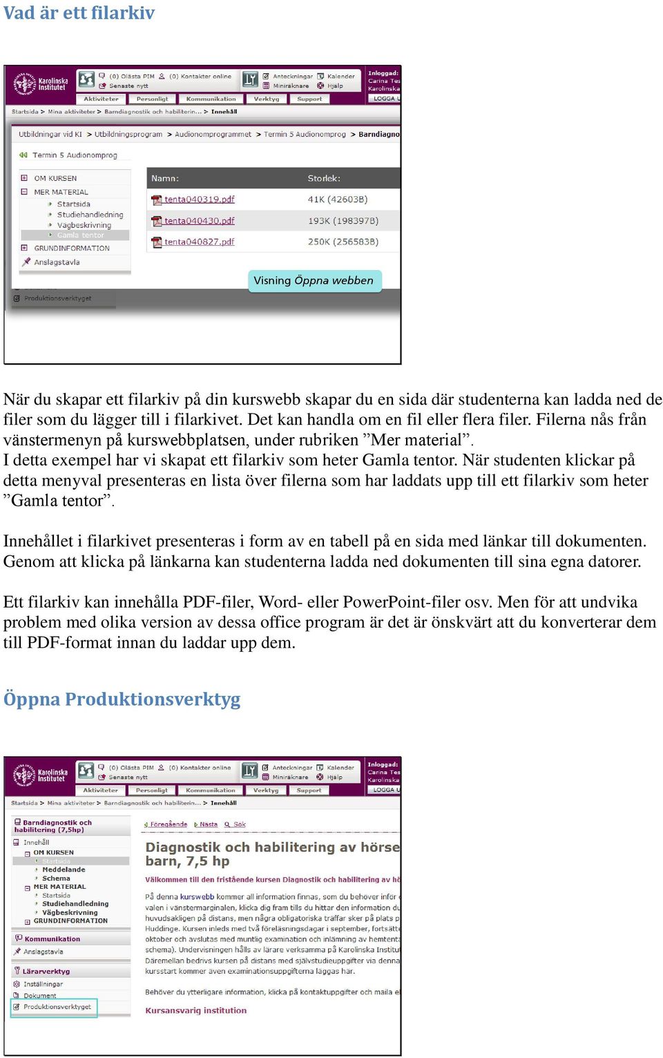 När studenten klickar på detta menyval presenteras en lista över filerna som har laddats upp till ett filarkiv som heter Gamla tentor.