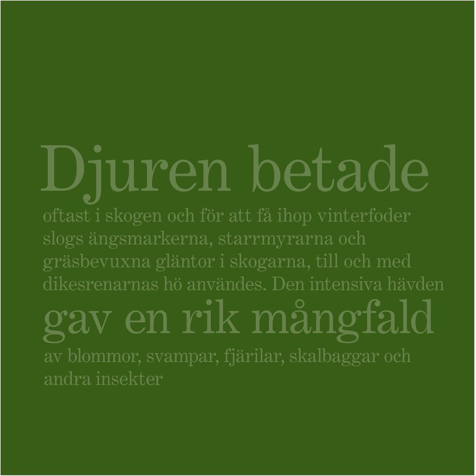 och med dikesrenarnas hö användes.