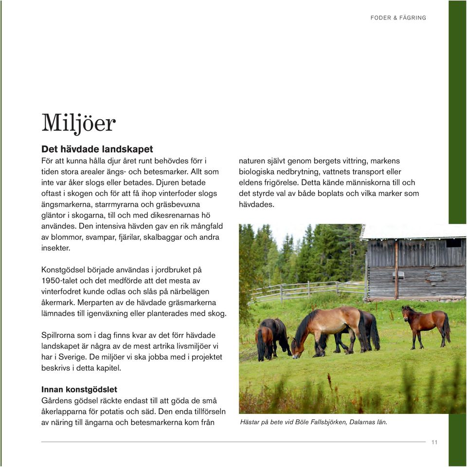 Den intensiva hävden gav en rik mångfald av blommor, svampar, fjärilar, skalbaggar och andra insekter.