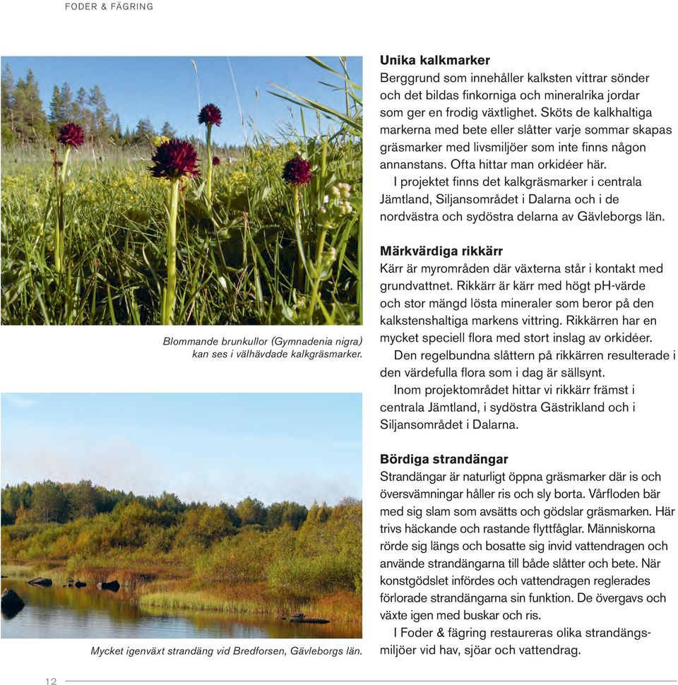 I projektet finns det kalkgräsmarker i centrala Jämtland, Siljansområdet i Dalarna och i de nordvästra och sydöstra delarna av Gävleborgs län.