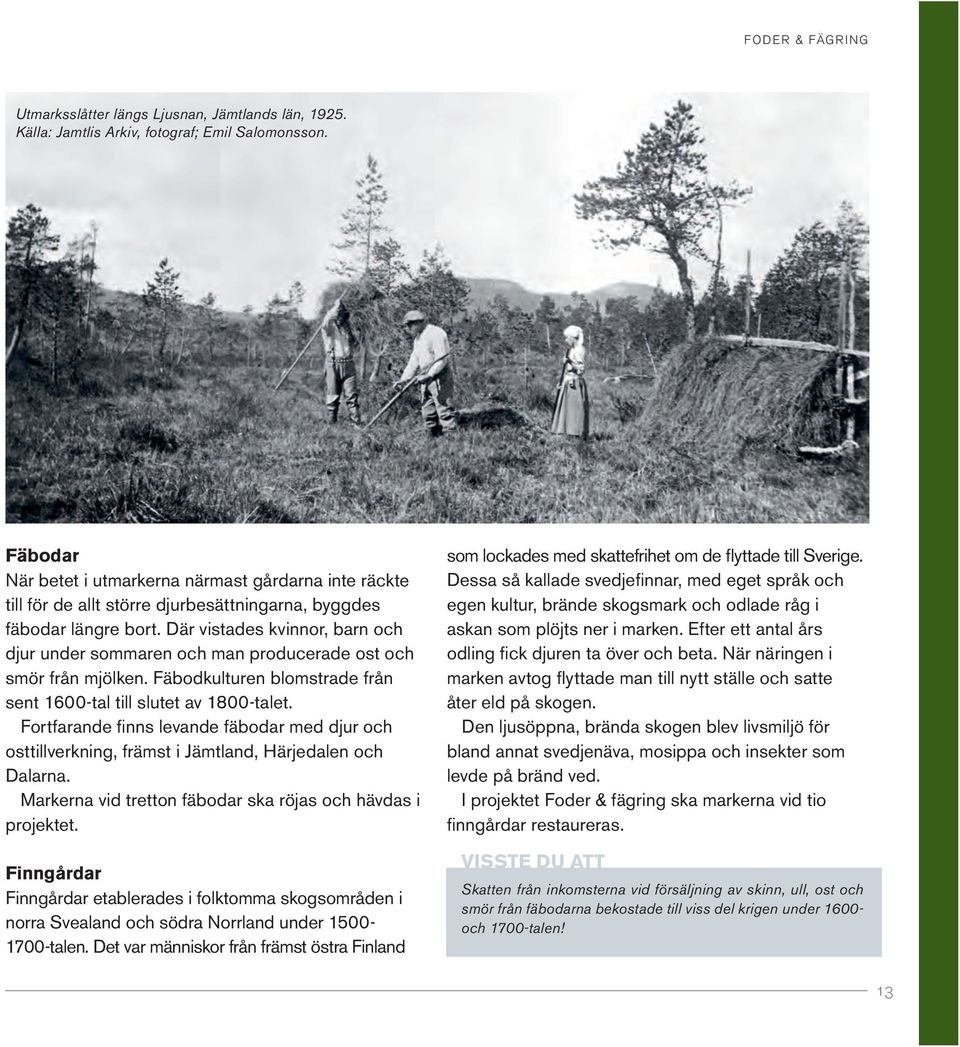 Där vistades kvinnor, barn och djur under sommaren och man producerade ost och smör från mjölken. Fäbodkulturen blomstrade från sent 1600-tal till slutet av 1800-talet.