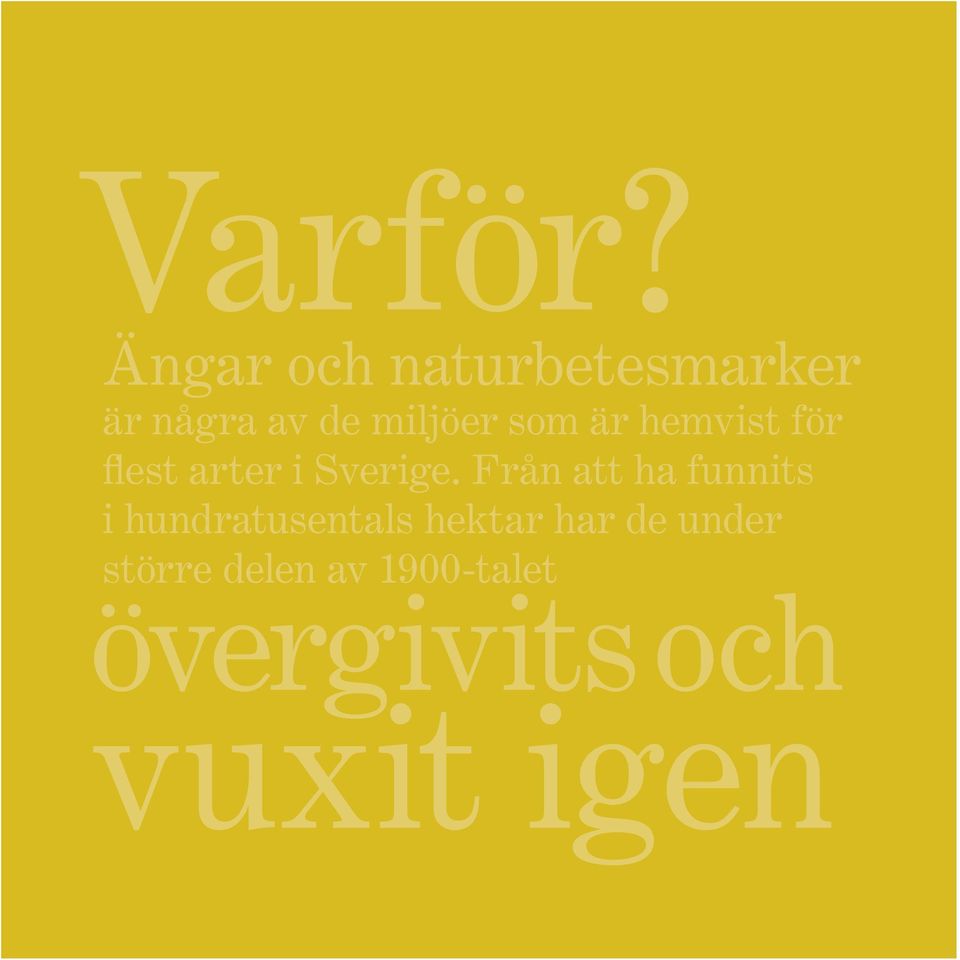 som är hemvist för flest arter i Sverige.