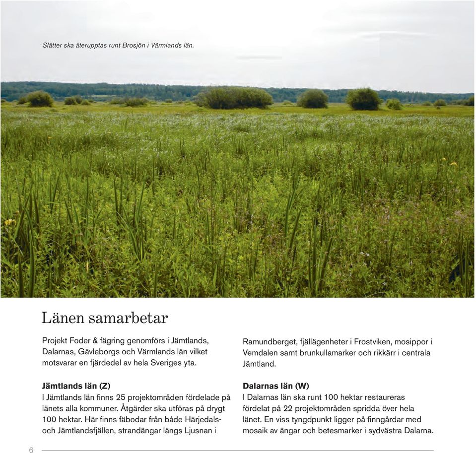 Jämtlands län (Z) I Jämtlands län finns 25 projektområden fördelade på länets alla kommuner. Åtgärder ska utföras på drygt 100 hektar.