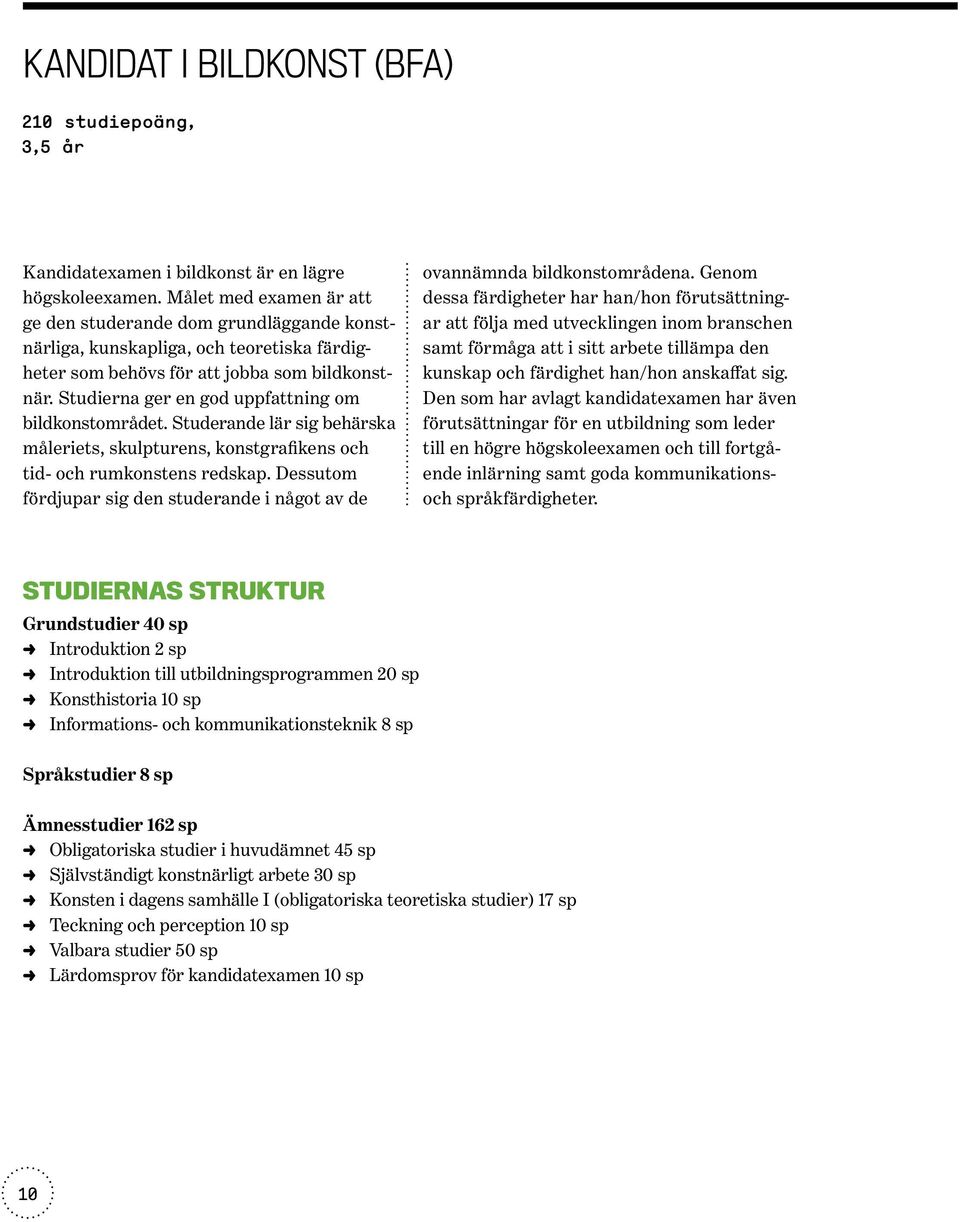 Studierna ger en god uppfattning om bildkonstområdet. Studerande lär sig behärska måleriets, skulpturens, konstgrafikens och tid- och rumkonstens redskap.