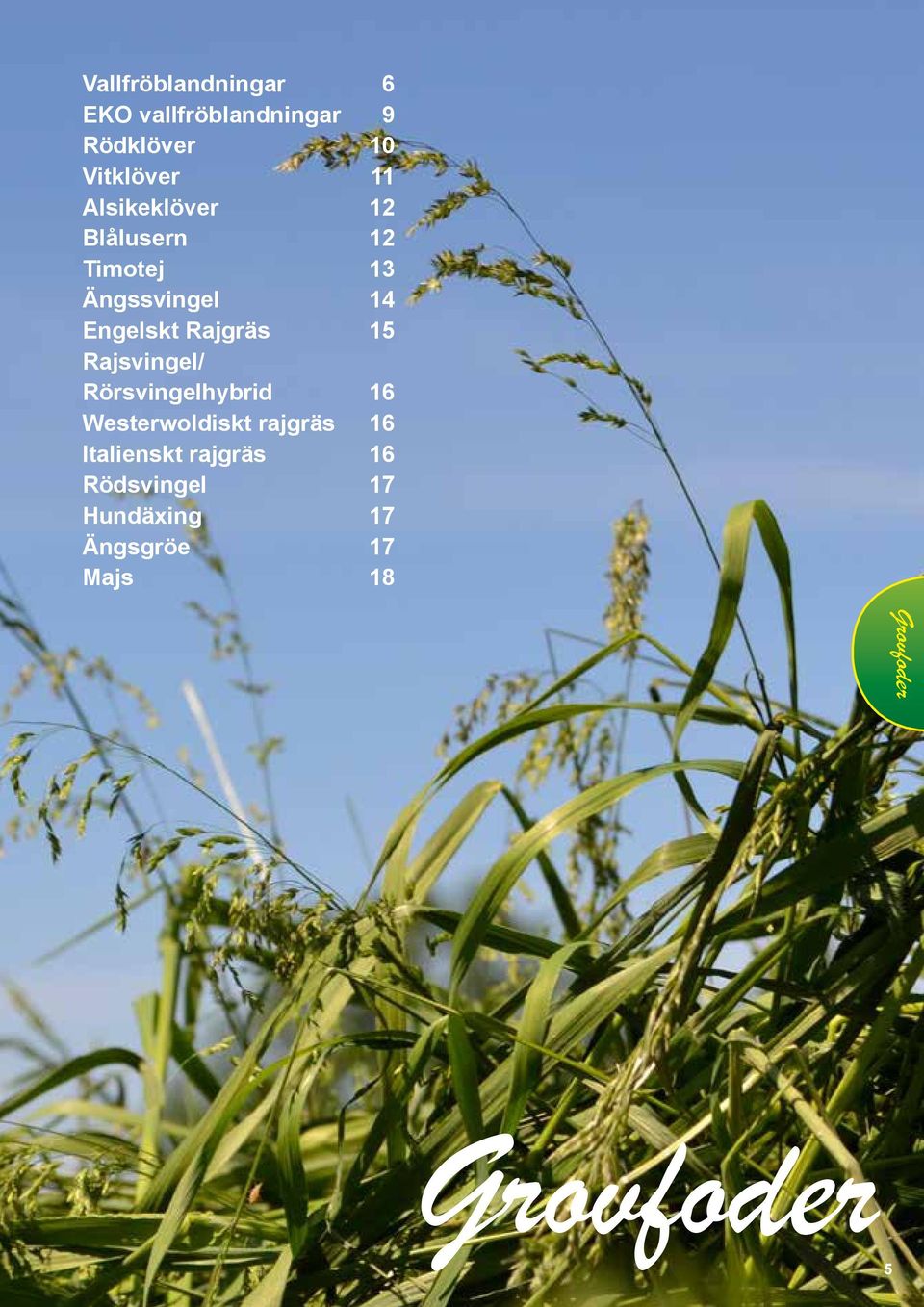 Engelskt Rajgräs 15 Rajsvingel/ Rörsvingelhybrid 16 Westerwoldiskt