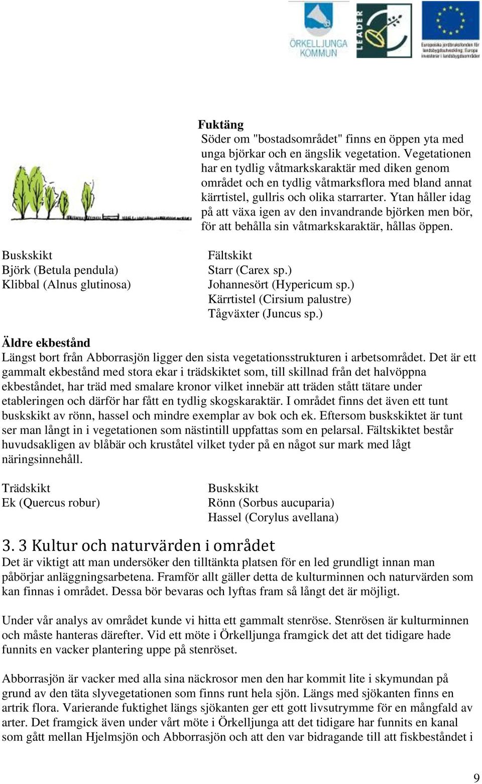 Ytan håller idag på att växa igen av den invandrande björken men bör, för att behålla sin våtmarkskaraktär, hållas öppen.