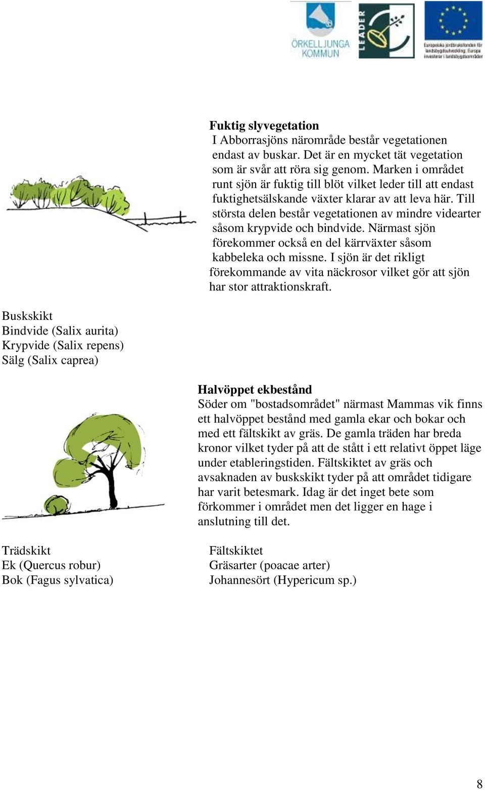 Till största delen består vegetationen av mindre videarter såsom krypvide och bindvide. Närmast sjön förekommer också en del kärrväxter såsom kabbeleka och missne.