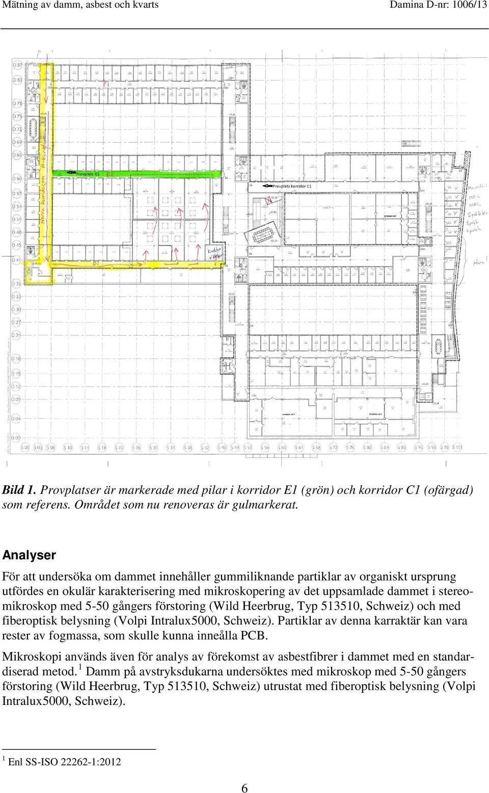 gångers förstoring (Wild Heerbrug, Typ 513510, Schweiz) och med fiberoptisk belysning (Volpi Intralux5000, Schweiz).