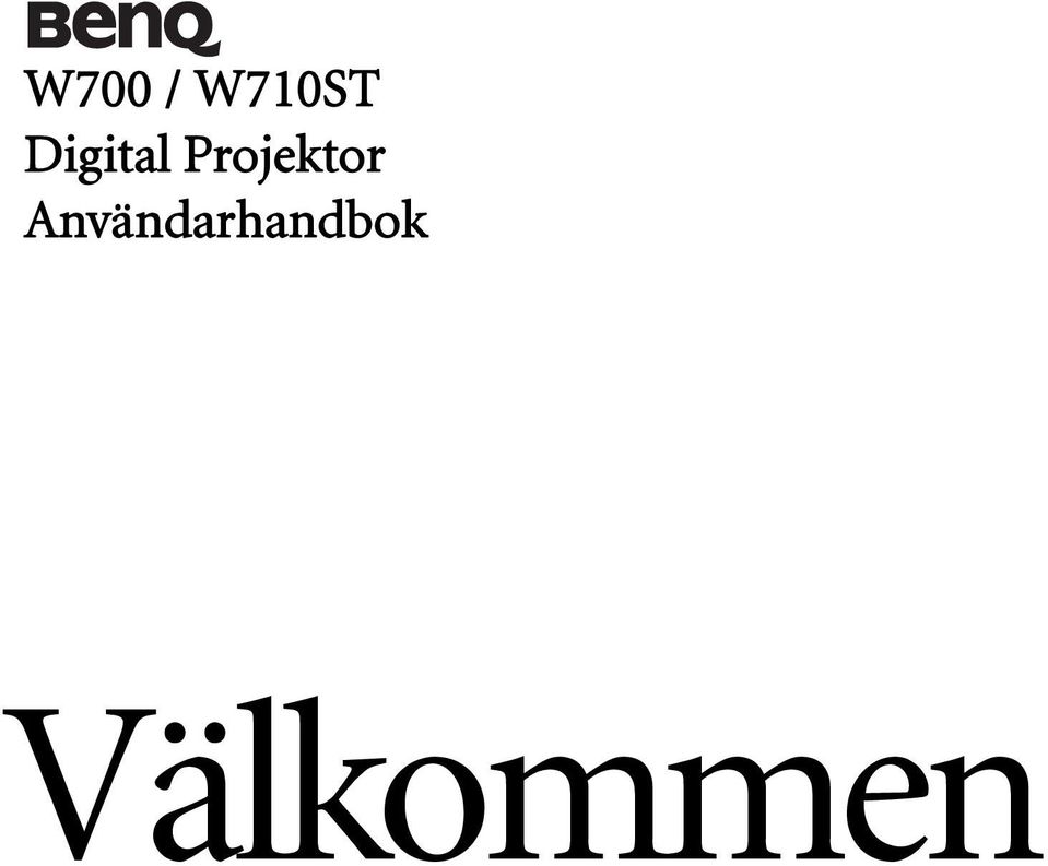 Projektor