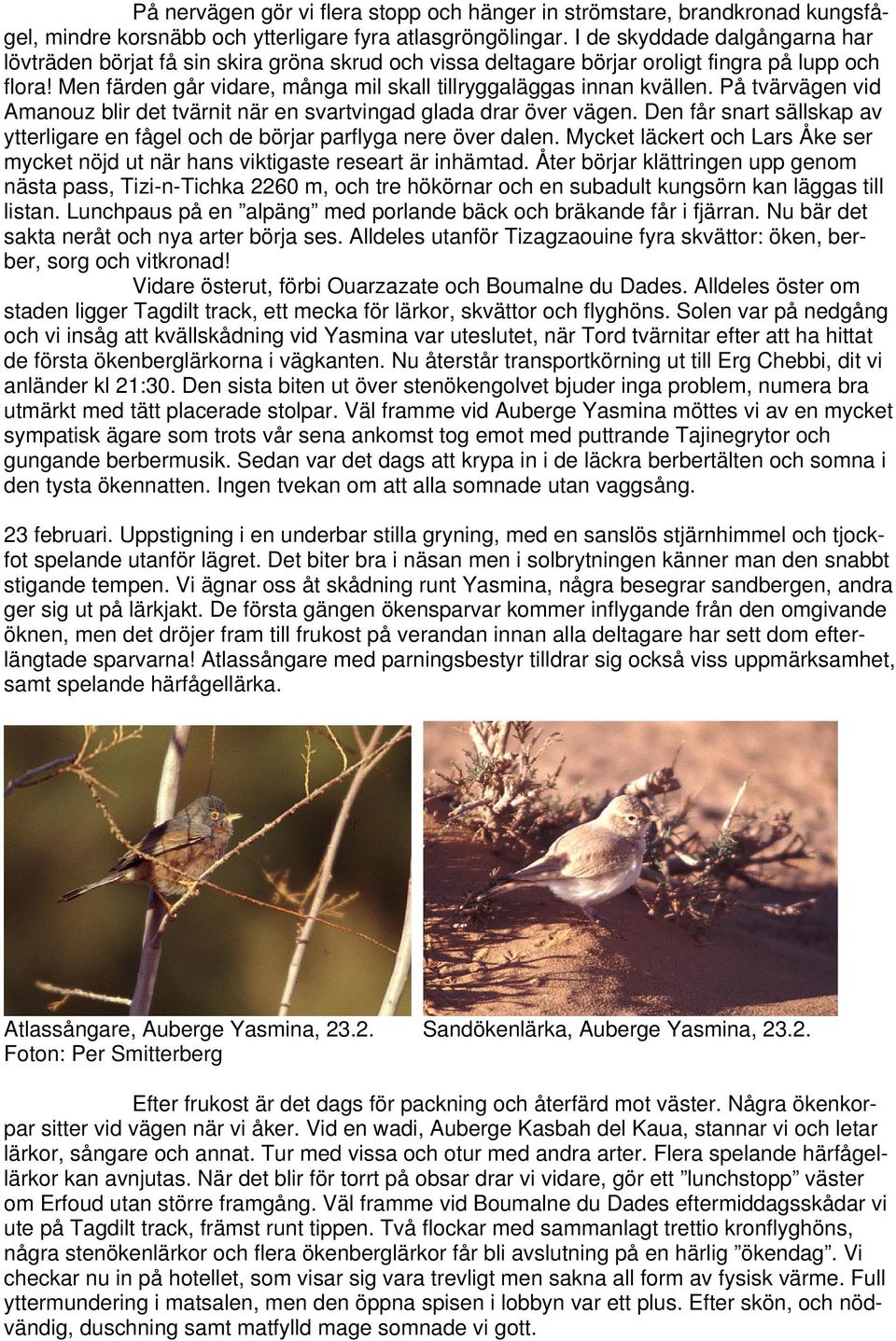 Men färden går vidare, många mil skall tillryggaläggas innan kvällen. På tvärvägen vid Amanouz blir det tvärnit när en svartvingad glada drar över vägen.