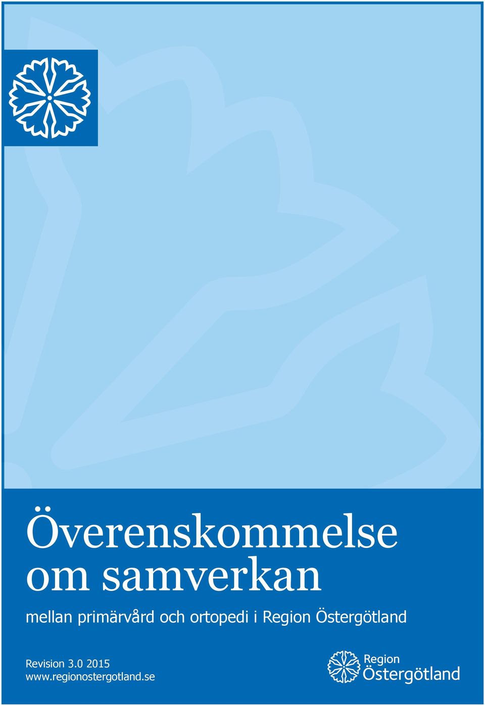 i Region Östergötland Revision