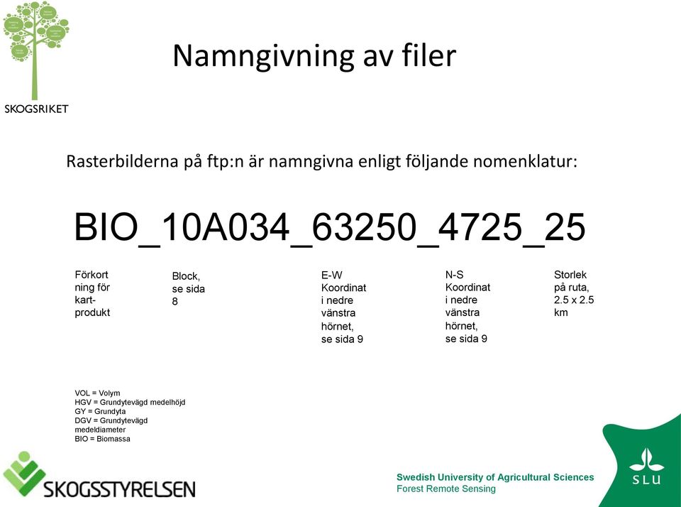 vänstra hörnet, se sida 9 N-S Koordinat i nedre vänstra hörnet, se sida 9 Storlek på ruta, 2.