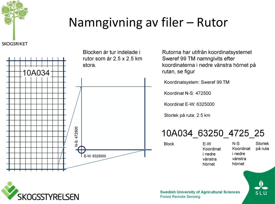 på rutan, se figur Koordinatsystem: Sweref 99 TM Koordinat N-S: 472500 Koordinat E-W: 6325000 Storlek på