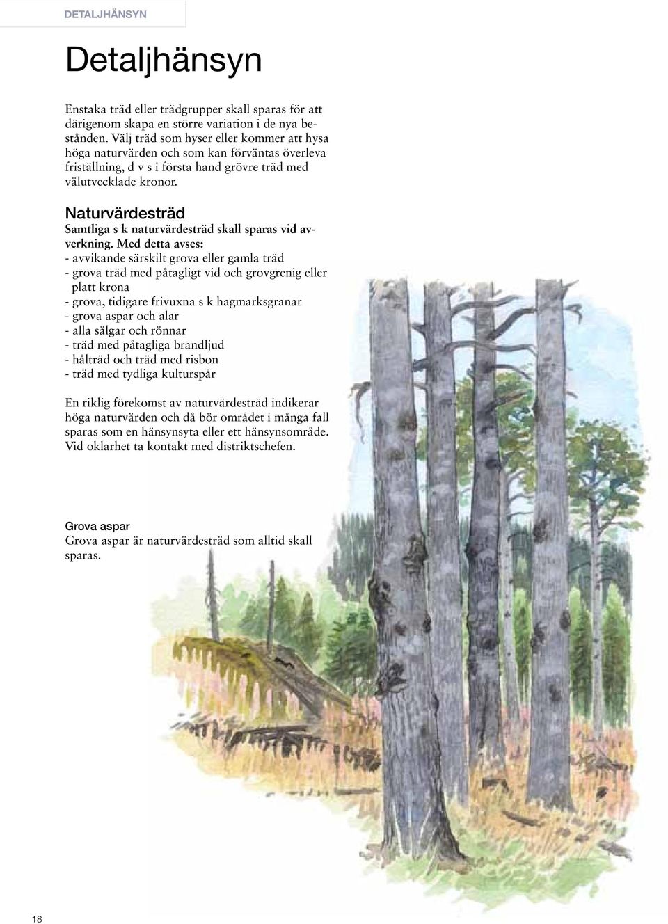 Naturvärdesträd Samtliga s k naturvärdesträd skall sparas vid avverkning.