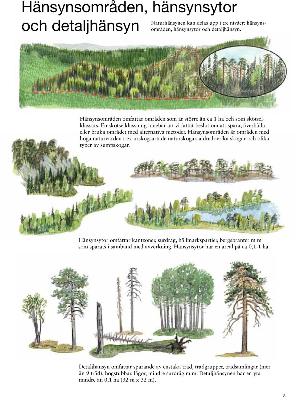 Hänsynsområden är områden med höga naturvärden t ex urskogsartade naturskogar, äldre lövrika skogar och olika typer av sumpskogar.