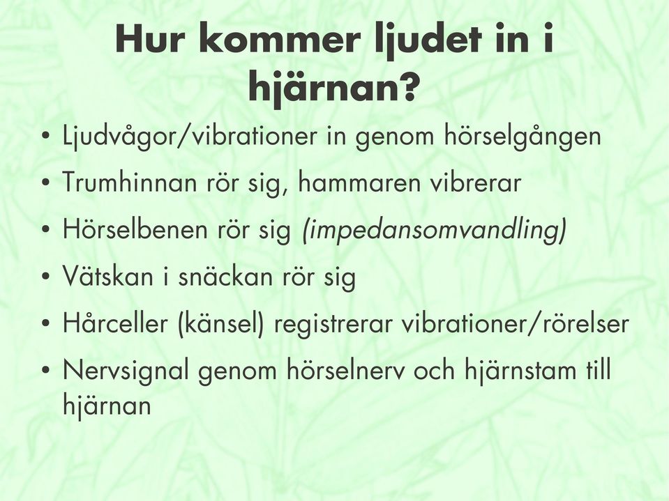 hammaren vibrerar Hörselbenen rör sig (impedansomvandling) Vätskan i