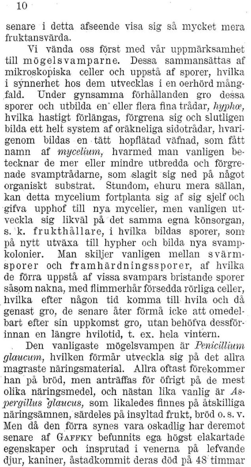 Under gynsamma förhållanden gro dessa sporer och utbilda en' eller flera fina trådar, hyphm, hvilka hastigt förlängas, förgrena sig och slutligen bilda ett helt system af oräkneliga sidotrådar,