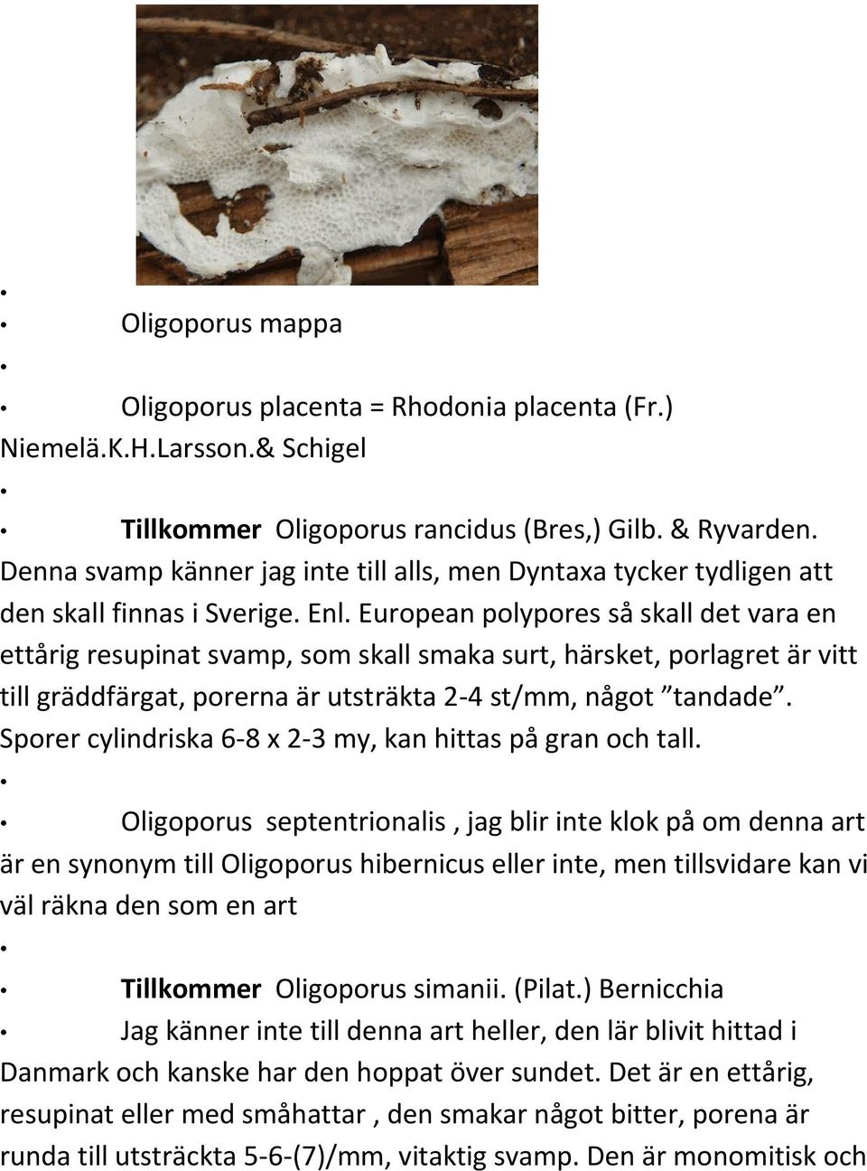 European polypores så skall det vara en ettårig resupinat svamp, som skall smaka surt, härsket, porlagret är vitt till gräddfärgat, porerna är utsträkta 2-4 st/mm, något tandade.