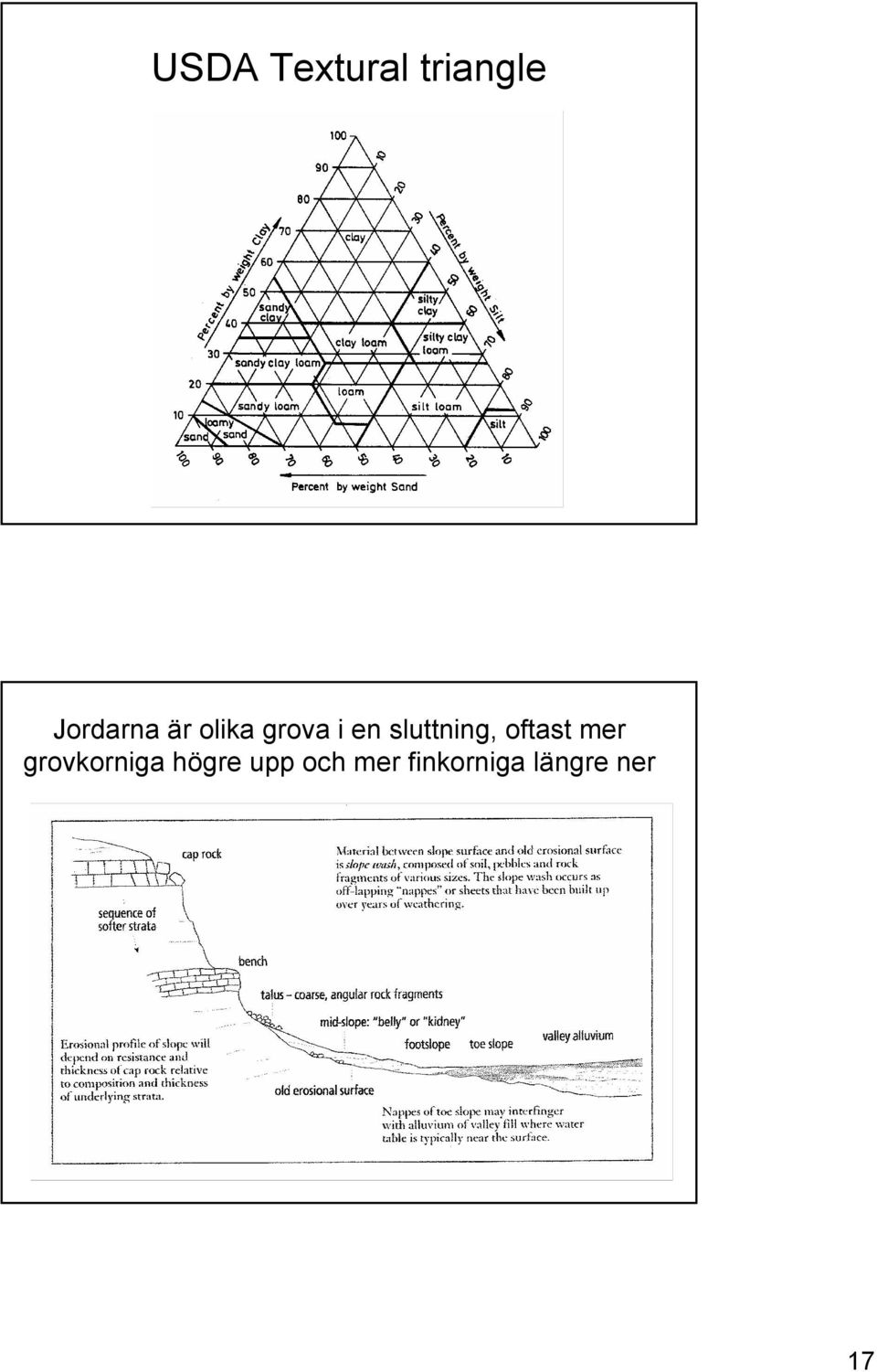 oftast mer grovkorniga högre