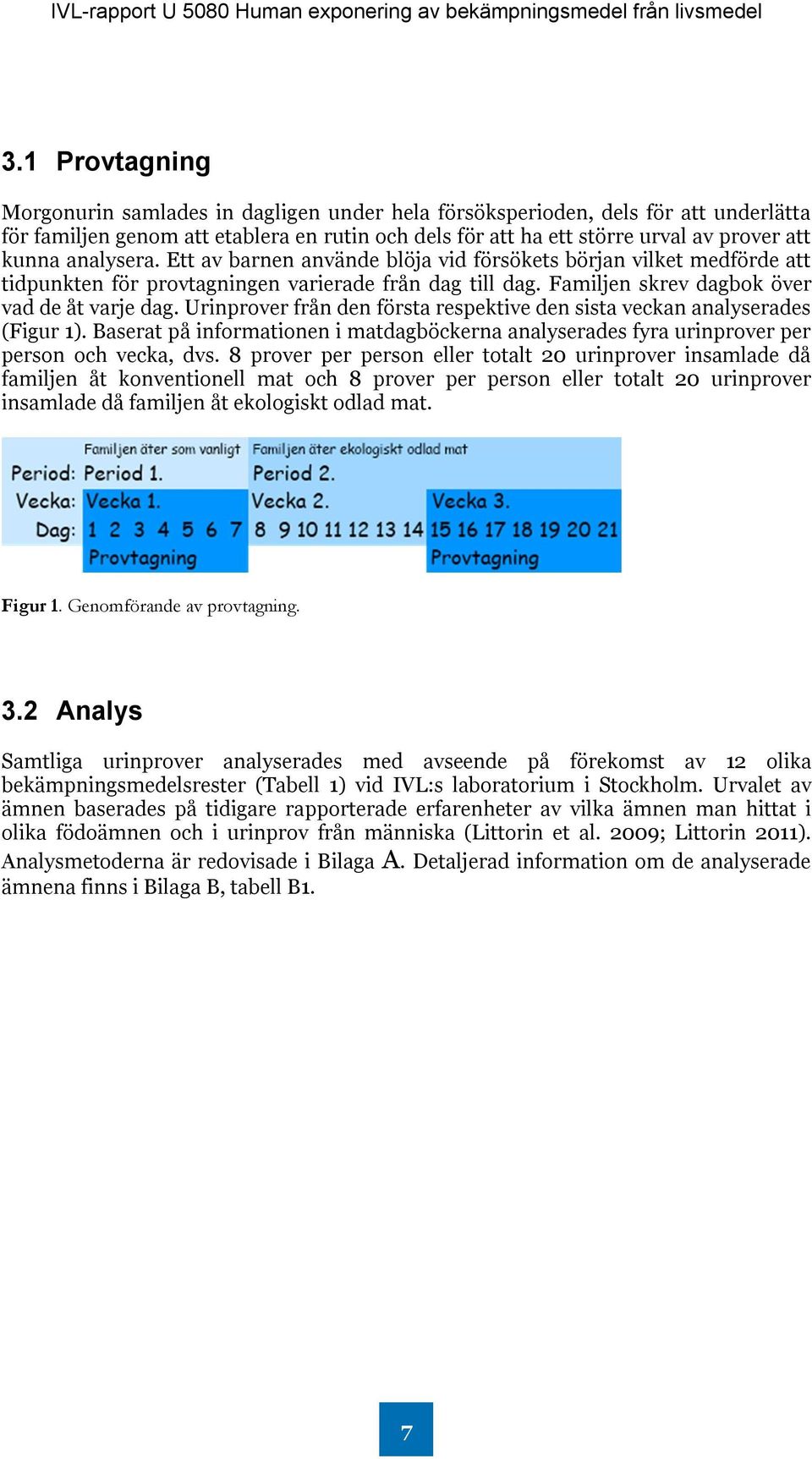 Urinprover från den första respektive den sista veckan analyserades (Figur 1). Baserat på informationen i matdagböckerna analyserades fyra urinprover per person och vecka, dvs.