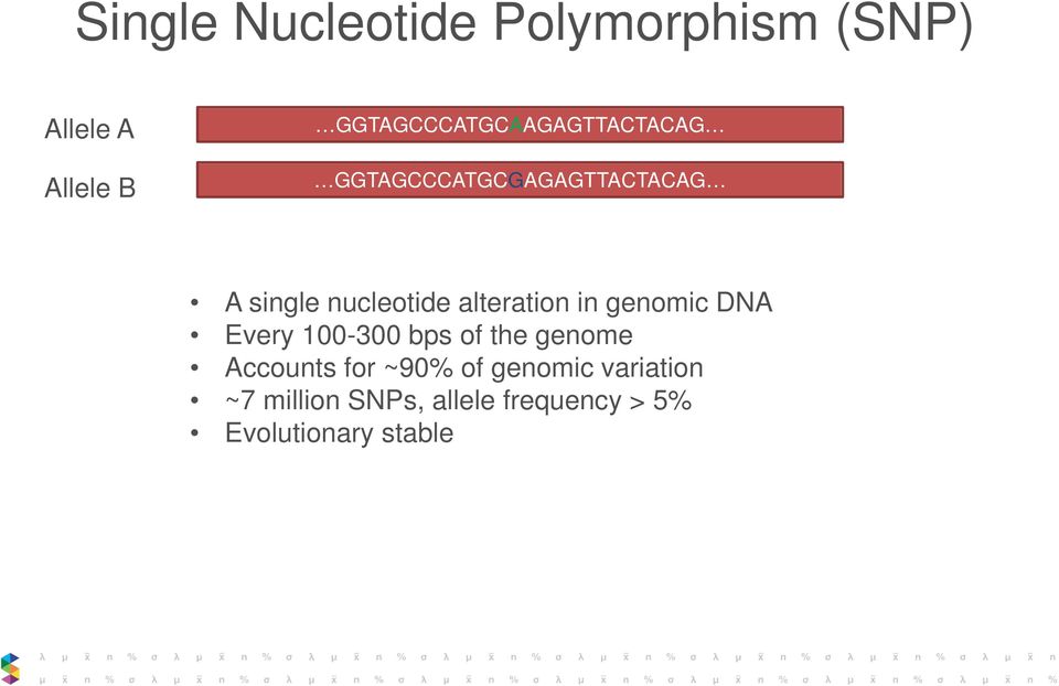 nucleotide alteration in genomic DNA Every 100-300 bps of the genome