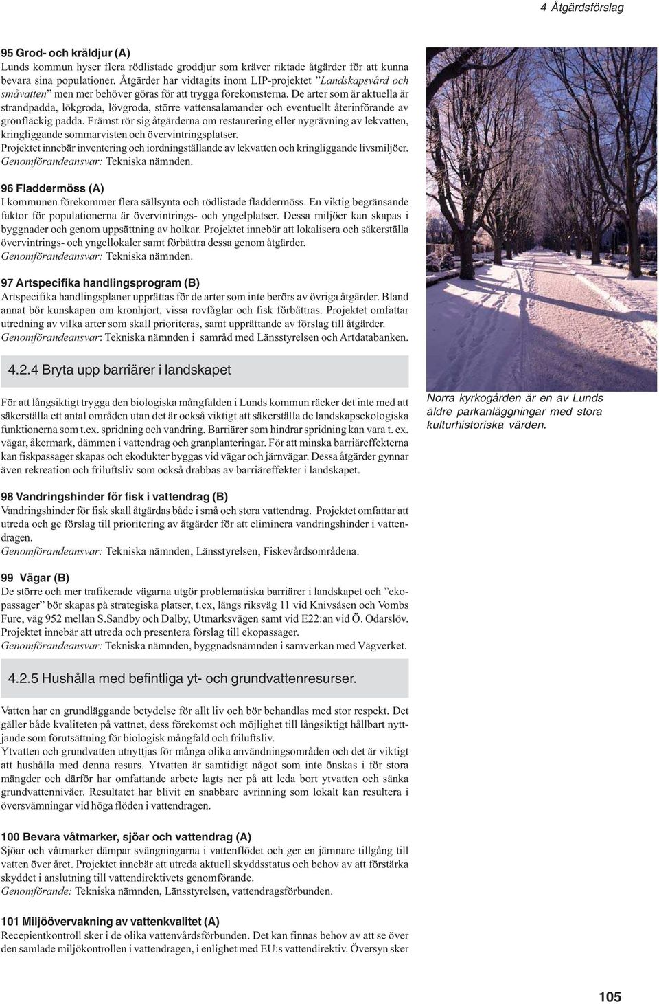 De arter som är aktuella är strandpadda, lökgroda, lövgroda, större vattensalamander och eventuellt återinförande av grönfläckig padda.