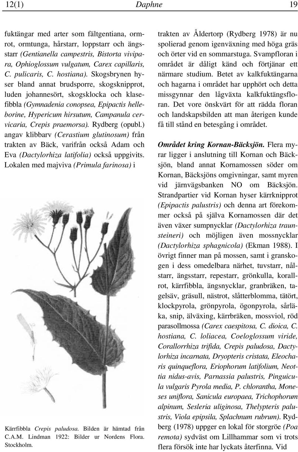 Skogsbrynen hyser bland annat brudsporre, skogsknipprot, luden johannesört, skogsklocka och klasefibbla (Gymnadenia conopsea, Epipactis helleborine, Hypericum hirsutum, Campanula cervicaria, Crepis