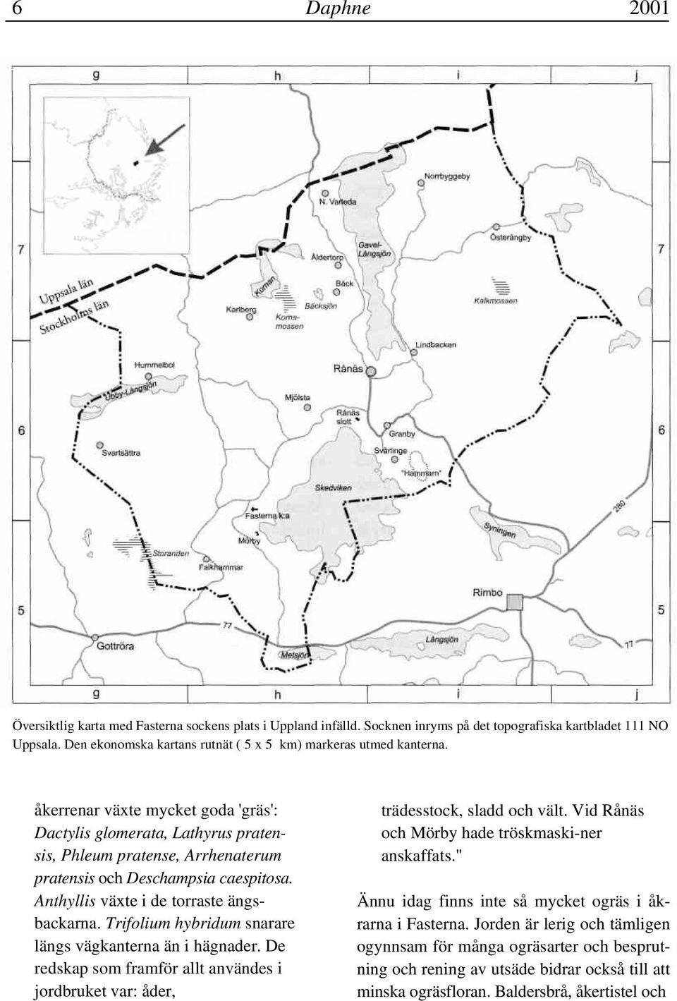 åkerrenar växte mycket goda 'gräs': Dactylis glomerata, Lathyrus pratensis, Phleum pratense, Arrhenaterum pratensis och Deschampsia caespitosa. Anthyllis växte i de torraste ängsbackarna.