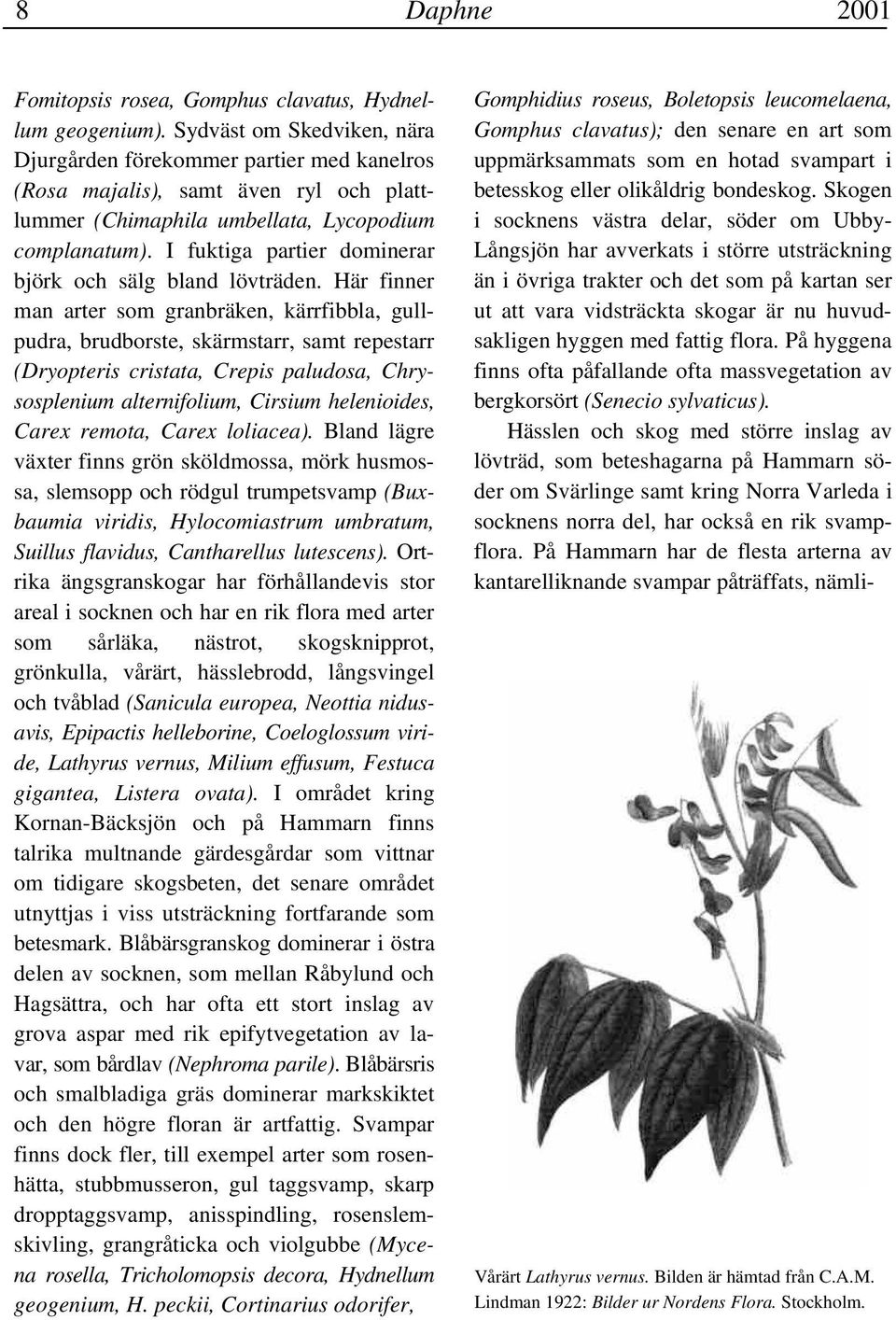 I fuktiga partier dominerar björk och sälg bland lövträden.