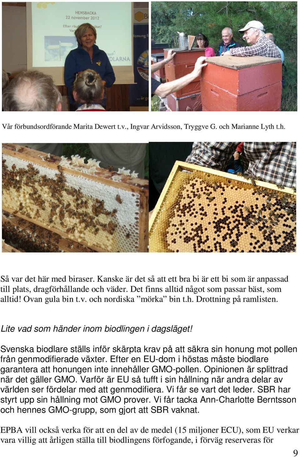 Lite vad som händer inom biodlingen i dagsläget! Svenska biodlare ställs inför skärpta krav på att säkra sin honung mot pollen från genmodifierade växter.