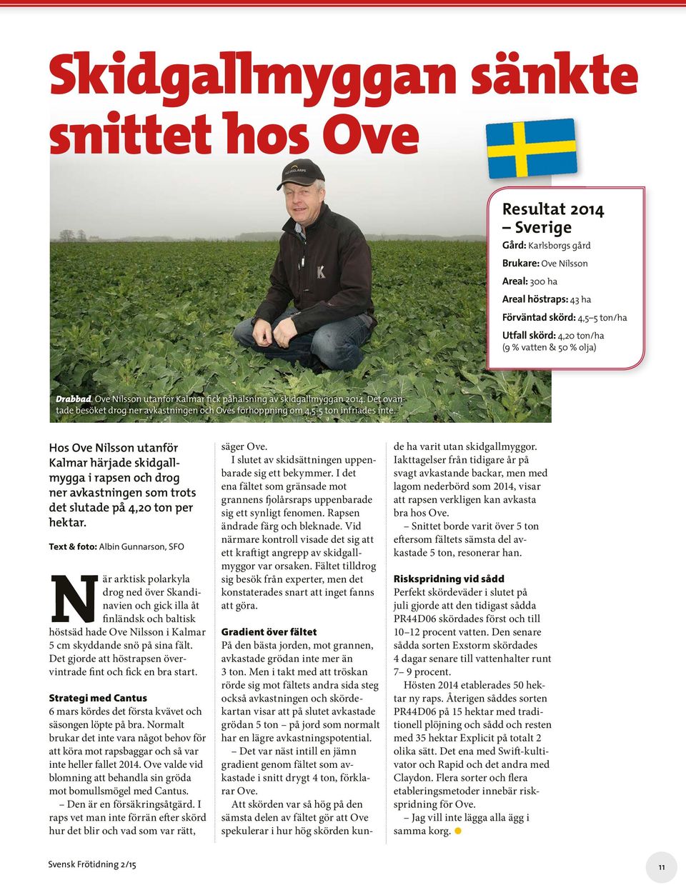 Hos Ove Nilsson utanför Kalmar härjade skidgallmygga i rapsen och drog ner avkastningen som trots det slutade på 4,20 ton per hektar.