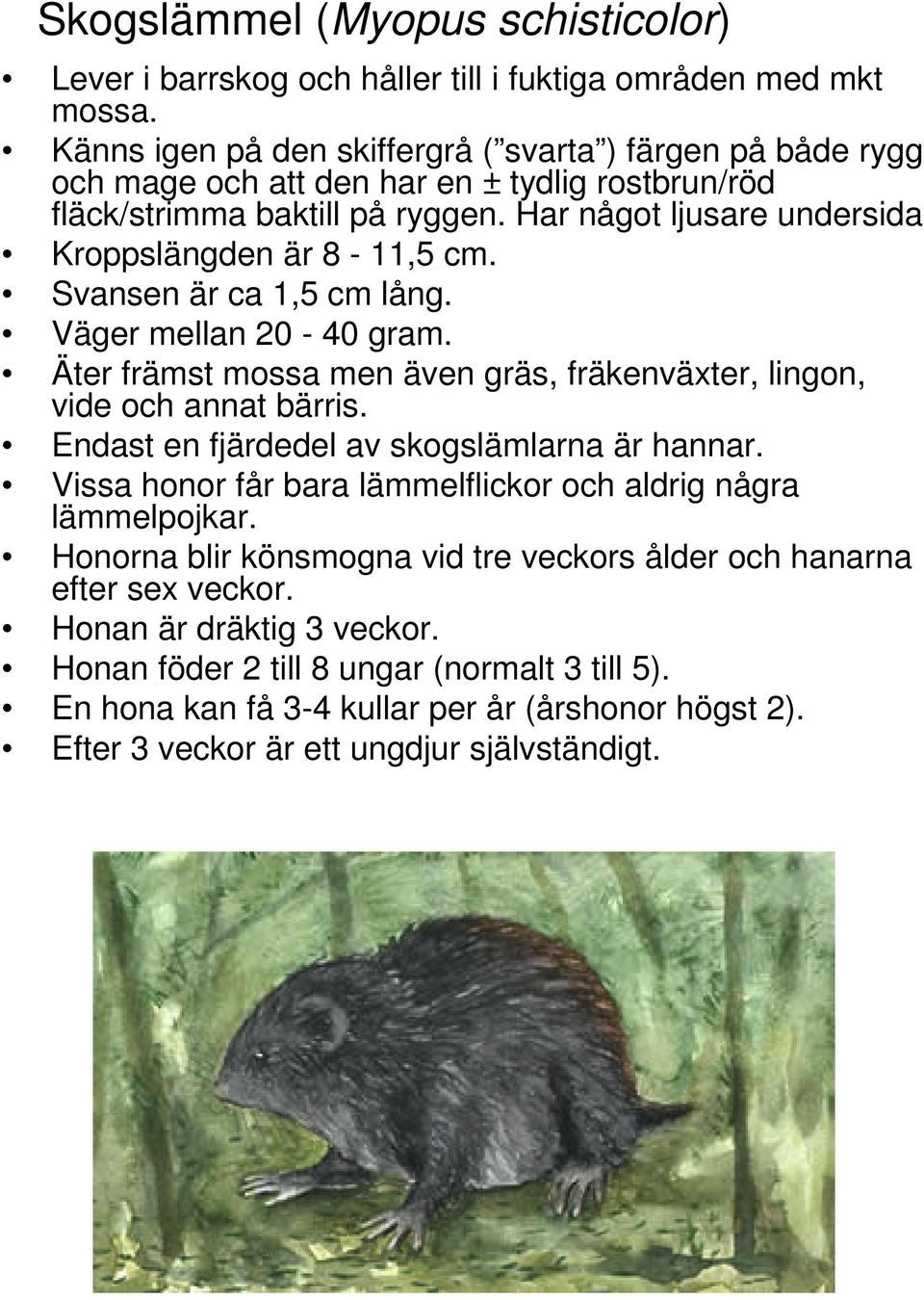 Svansen är ca 1,5 cm lång. Väger mellan 20-40 gram. Äter främst mossa men även gräs, fräkenväxter, lingon, vide och annat bärris. Endast en fjärdedel av skogslämlarna är hannar.