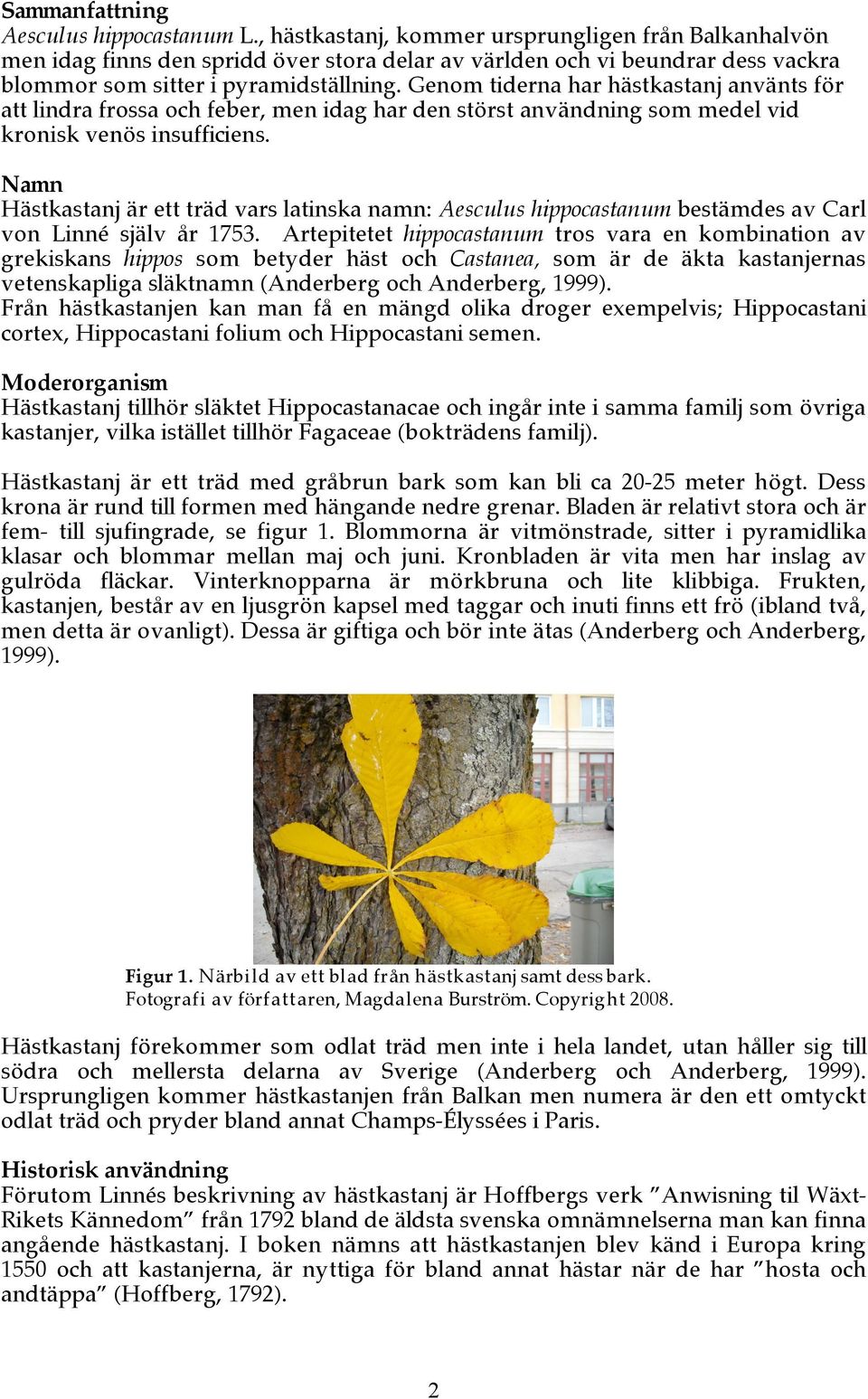 Genom tiderna har hästkastanj använts för att lindra frossa och feber, men idag har den störst användning som medel vid kronisk venös insufficiens.