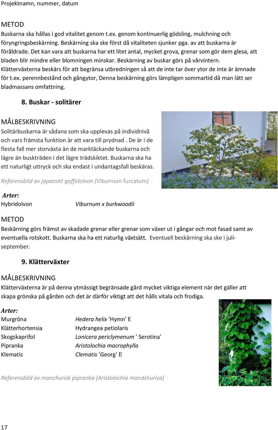 Klätterväxterna beskärs för att begränsa utbredningen så att de inte tar över ytor de inte är ämnade för t.ex.