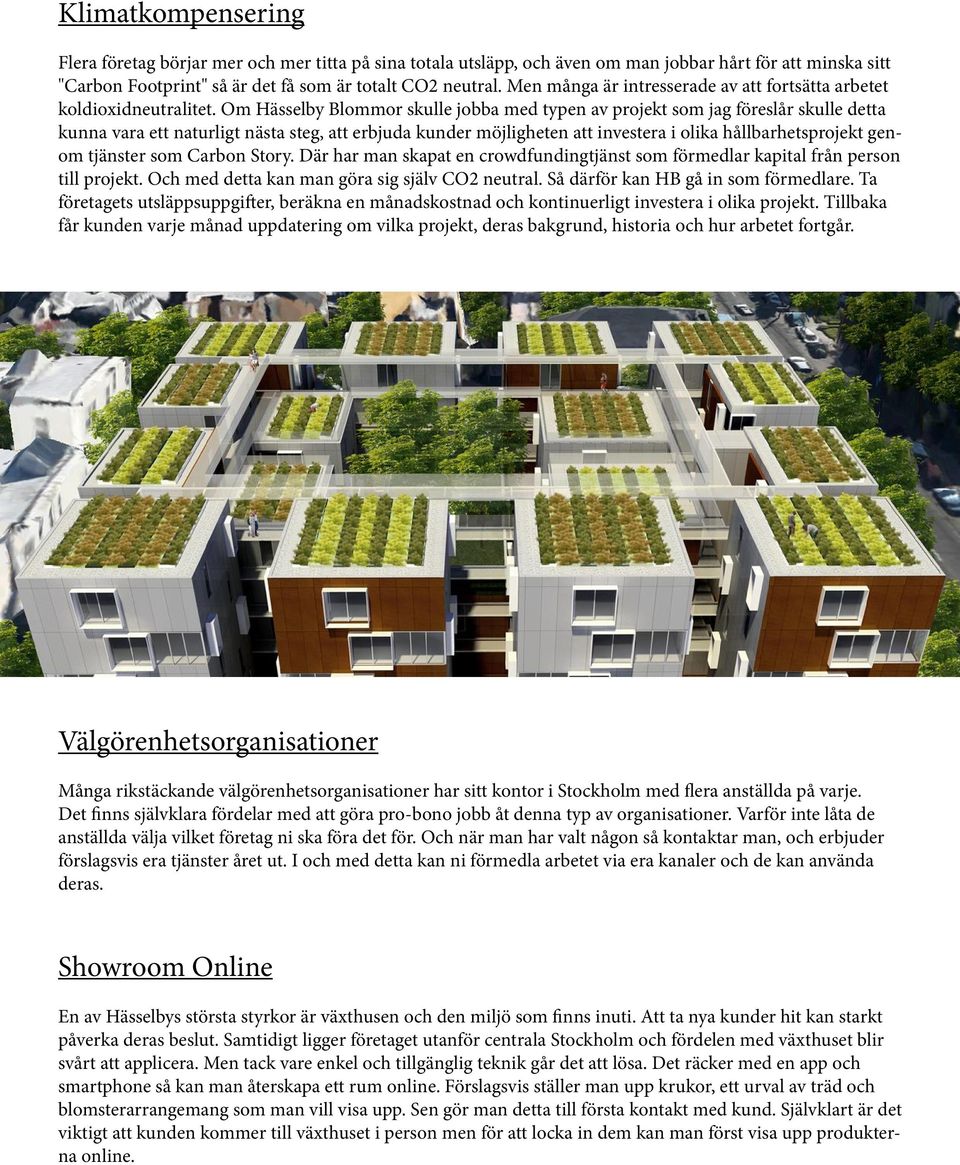 Om Hässelby Blommor skulle jobba med typen av projekt som jag föreslår skulle detta kunna vara ett naturligt nästa steg, att erbjuda kunder möjligheten att investera i olika hållbarhetsprojekt genom