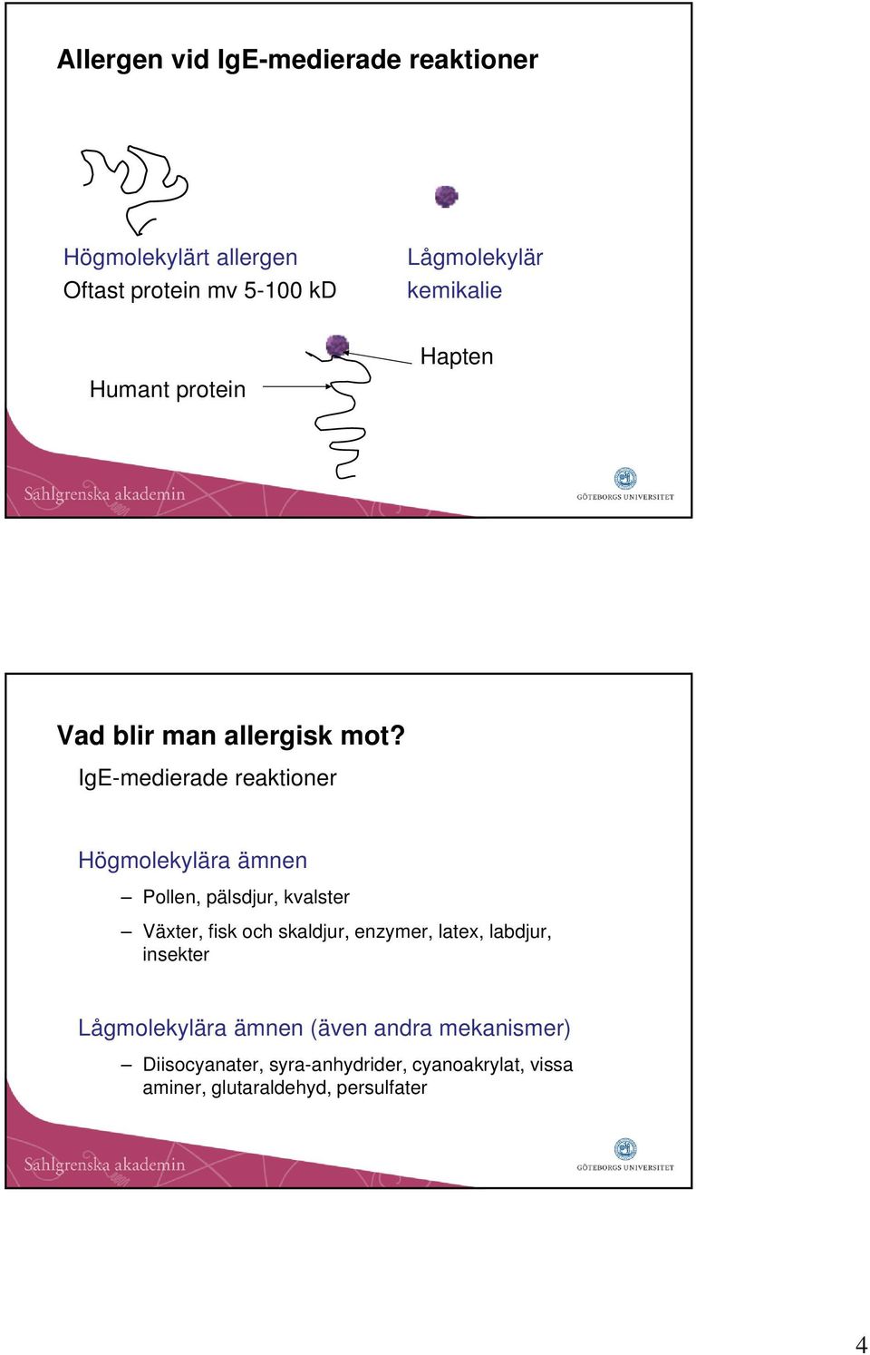 IgE-medierade reaktioner Högmolekylära ämnen Pollen, pälsdjur, kvalster Växter, fisk och skaldjur,