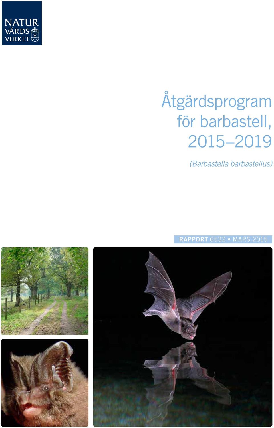 (Barbastella