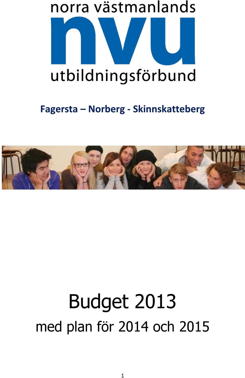 Budget 2013 med