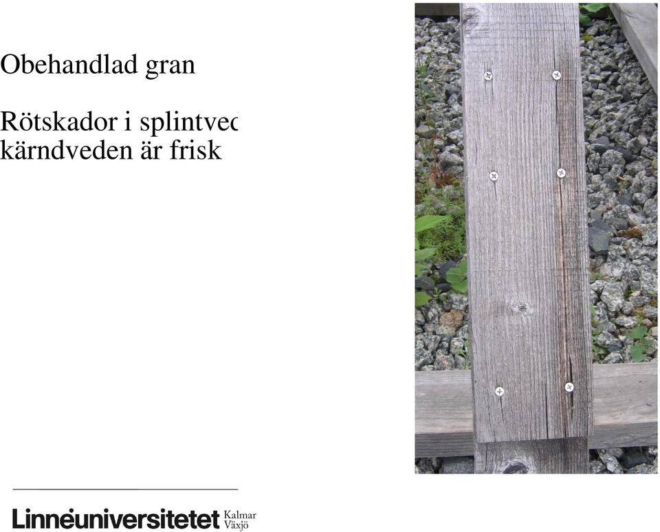 i splintveden