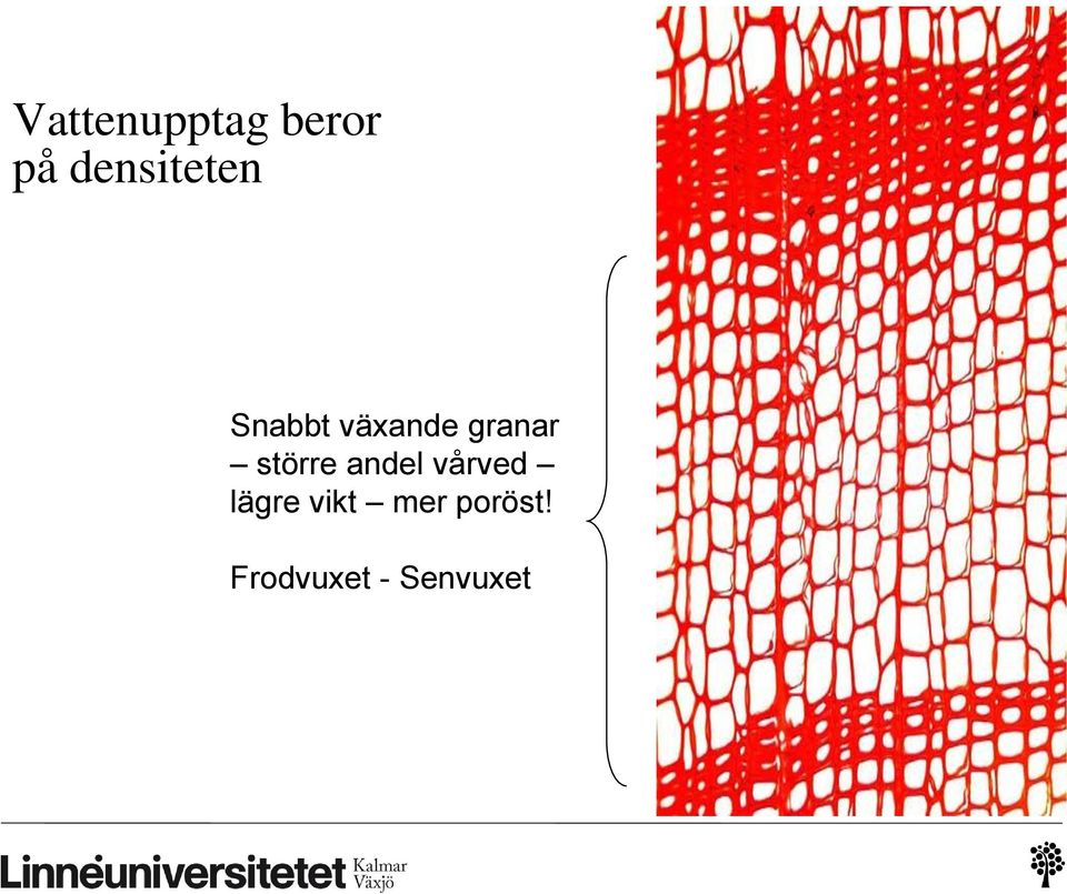 granar större andel vårved