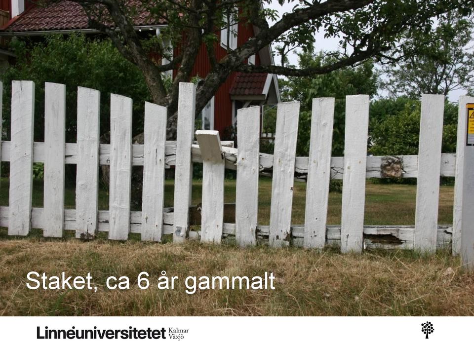 gammalt
