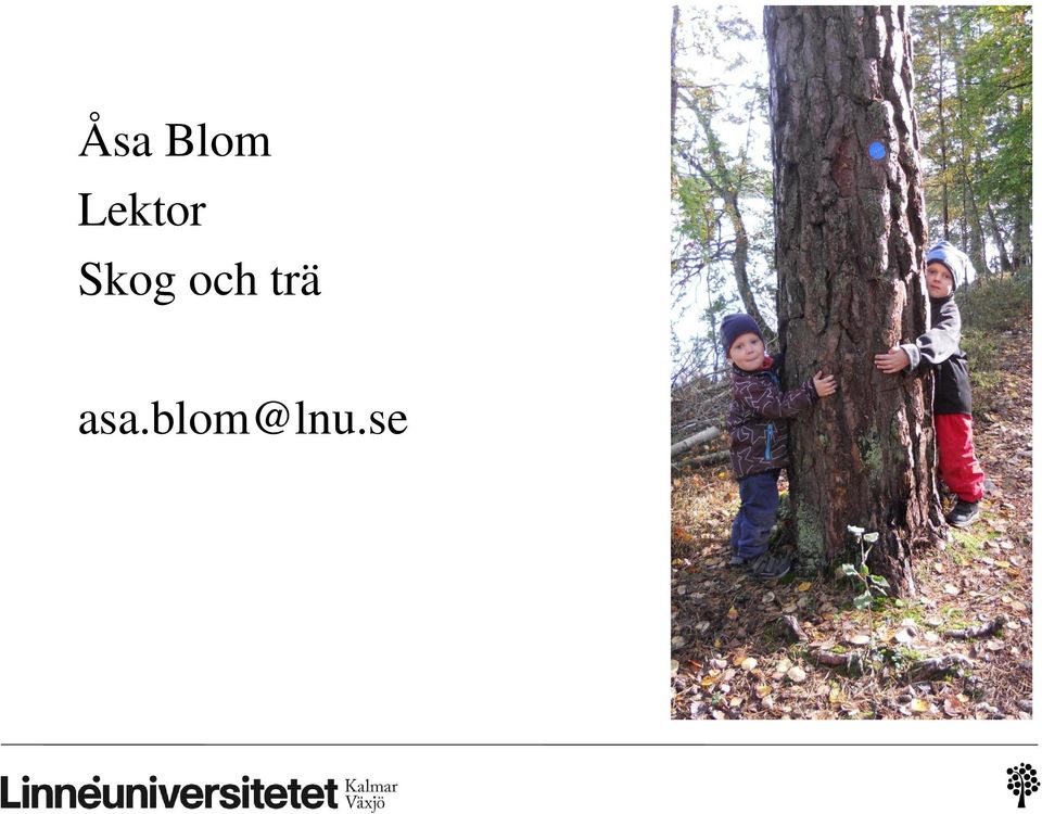 Skog och