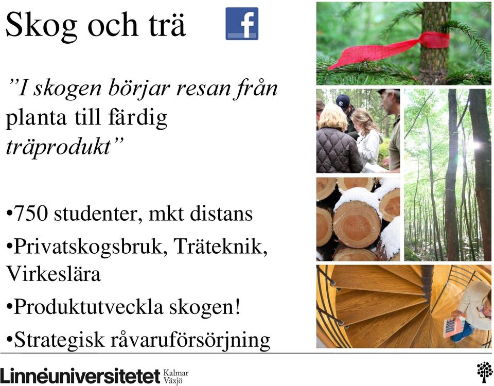 distans Privatskogsbruk, Träteknik, Virkeslära