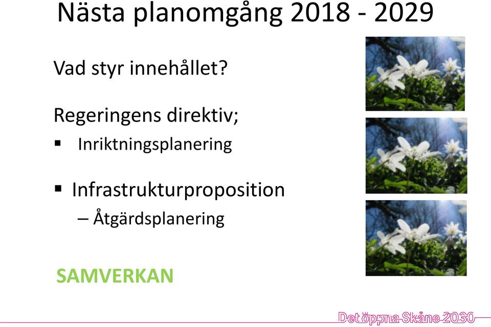 Regeringens direktiv;