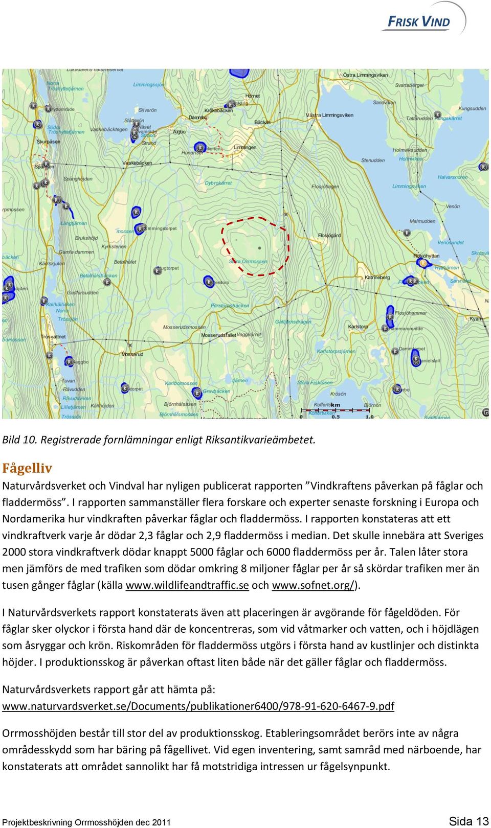 I rapporten konstateras att ett vindkraftverk varje år dödar 2,3 fåglar och 2,9 fladdermöss i median.