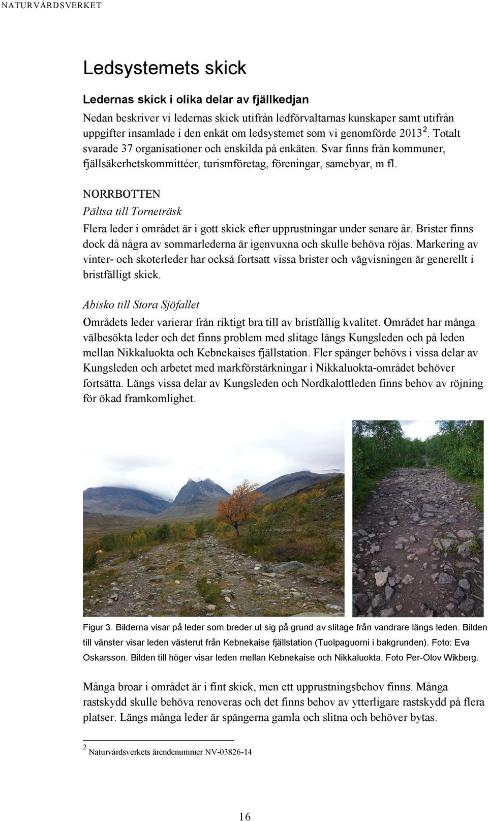 NORRBOTTEN Pältsa till Torneträsk Flera leder i området är i gott skick efter upprustningar under senare år. Brister finns dock då några av sommarlederna är igenvuxna och skulle behöva röjas.