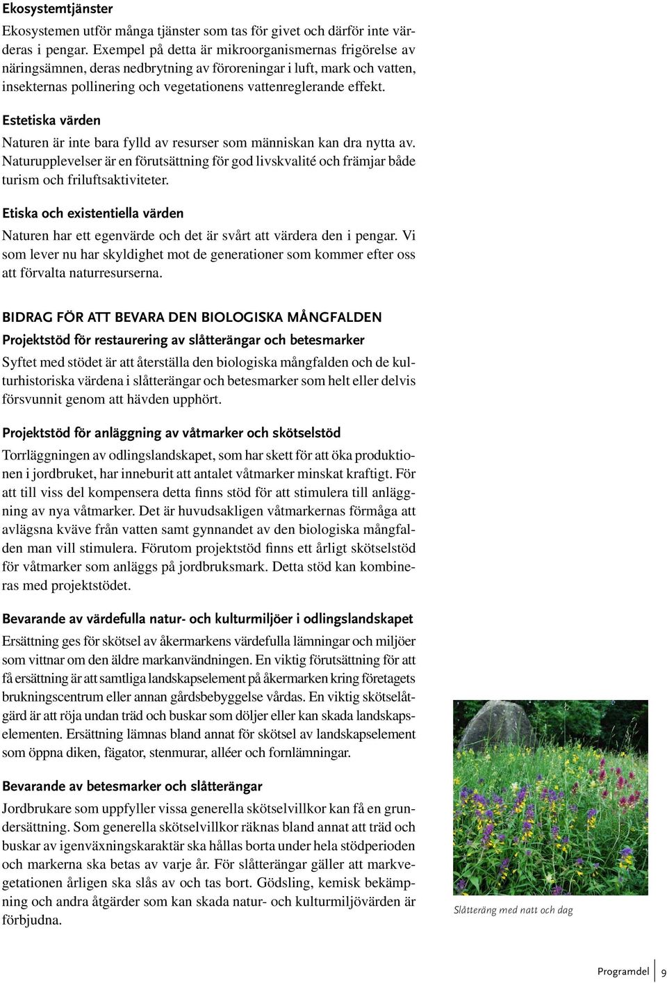 Estetiska värden Naturen är inte bara fylld av resurser som människan kan dra nytta av. Naturupplevelser är en förutsättning för god livskvalité och främjar både turism och friluftsaktiviteter.