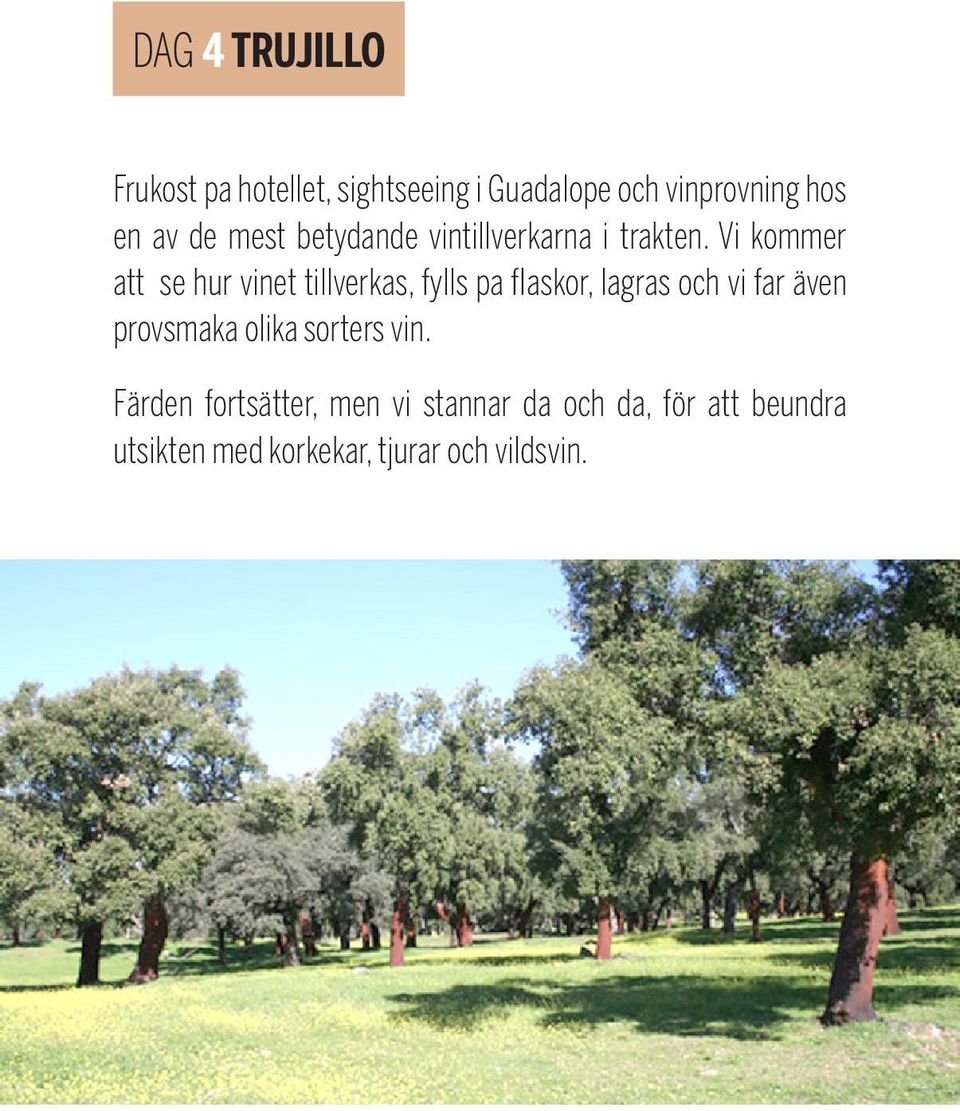 Vi kommer att se hur vinet tillverkas, fylls pa flaskor, lagras och vi far även