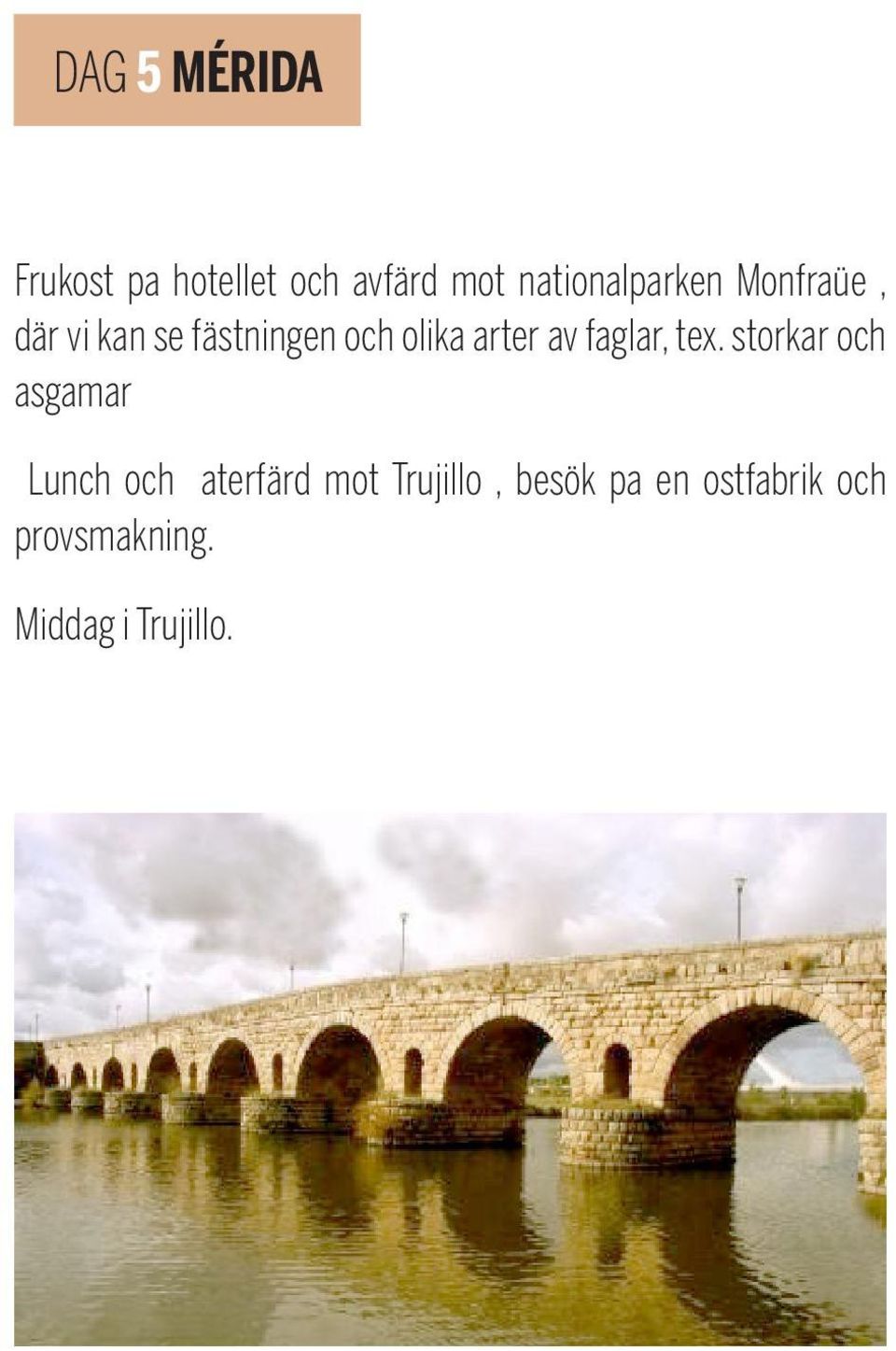 arter av faglar, tex.