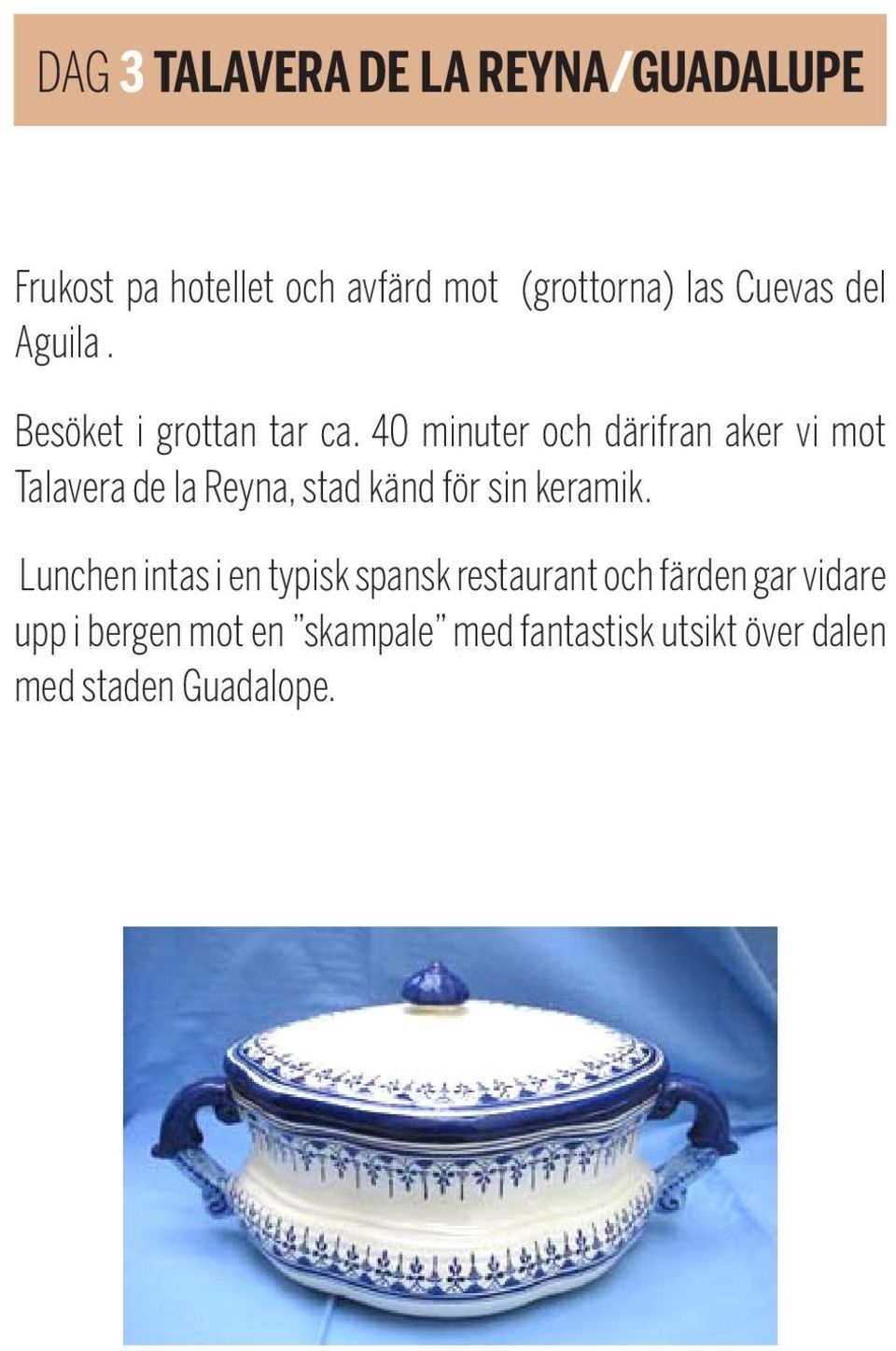 40 minuter och därifran aker vi mot Talavera de la Reyna, stad känd för sin keramik.